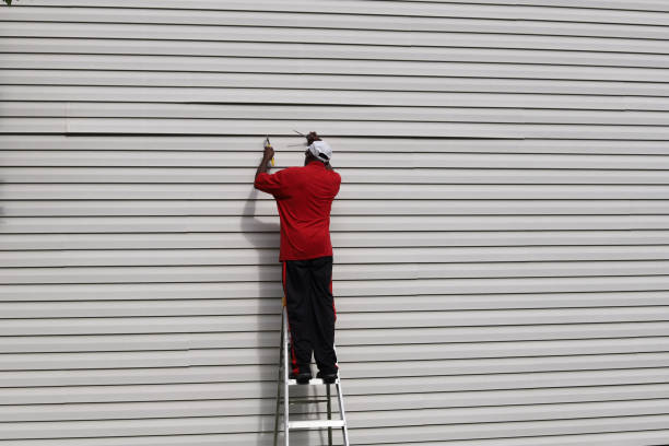 Affordable Siding Repair and Maintenance Services in Emmonak, AK