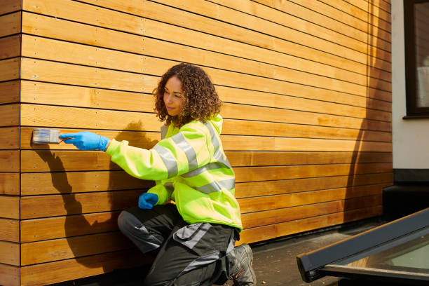 Best Weatherproofing and Sealing  in Emmon, AK
