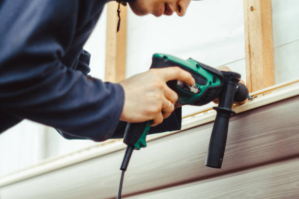 Best Custom Siding Design  in Emmon, AK